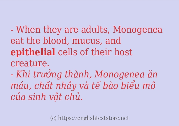 epithelial các ví dụ và câu điển hình epithelial các ví dụ và câu điển hình