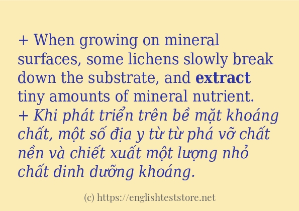 extract ví dụ và cách sử dụng trong câu extract ví dụ và cách sử dụng trong câu