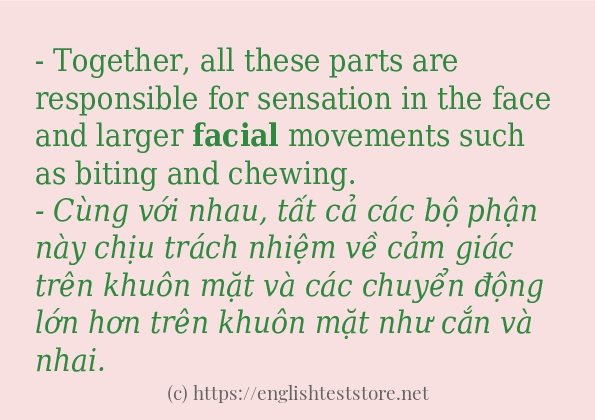 facial các cách dùng và câu ví dụ