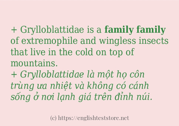 family sử dụng thực tế trong câu family sử dụng thực tế trong câu