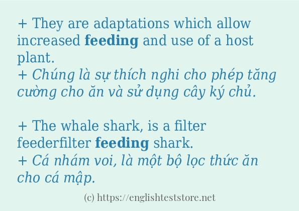 feeding cách dùng và ví dụ trong câu