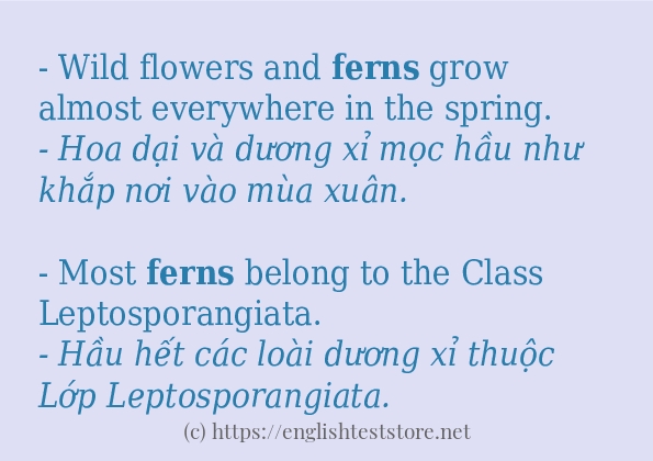 ferns cách dùng và câu ví dụ