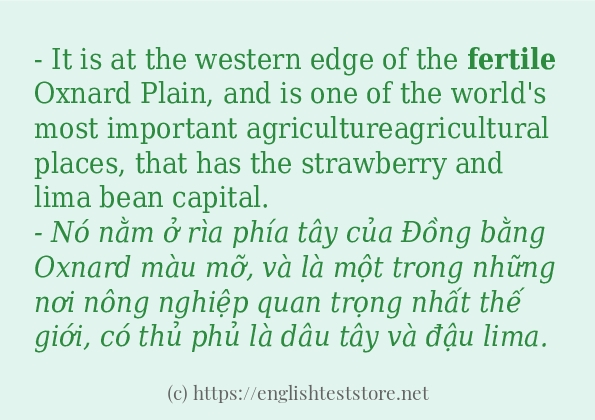 fertile dùng như thế nào?