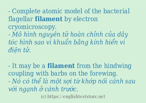 filament cách dùng và câu ví dụ