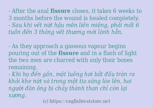fissure cách dùng trong câu và ví dụ