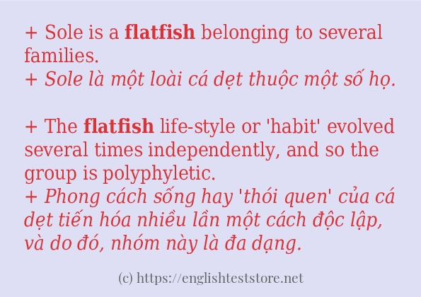 flatfish câu ví dụ về cách dùng