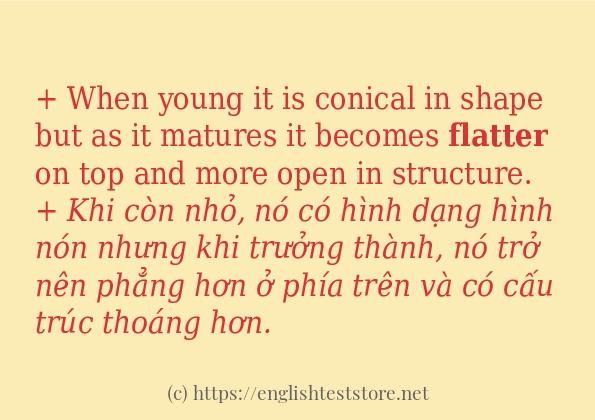 flatter câu ví dụ và cách dùng