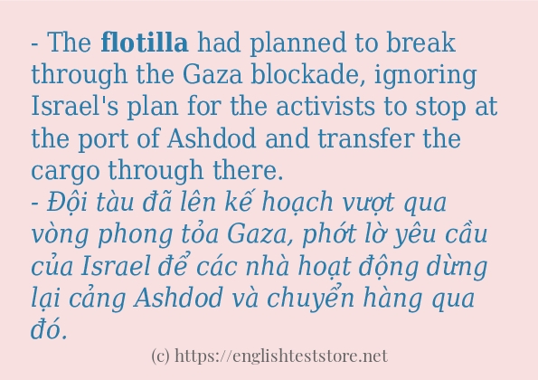 flotilla áp dụng trong câu và ví dụ