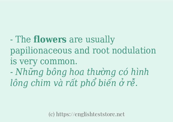 flowers sử dụng như thế nào và câu ví dụ