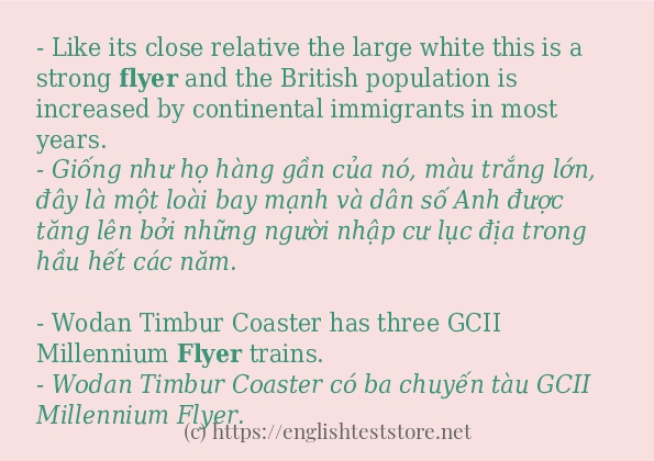 flyer các cách dùng và câu ví dụ