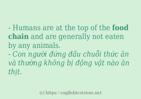 food chain câu ví dụ về cách dùng food chain câu ví dụ về cách dùng