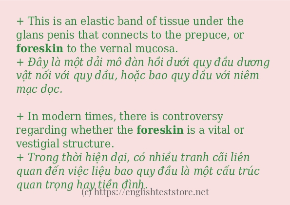 foreskin ví dụ cách dùng trong câu