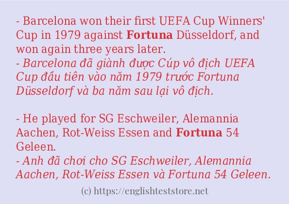 fortuna cách dùng và ví dụ trong câu