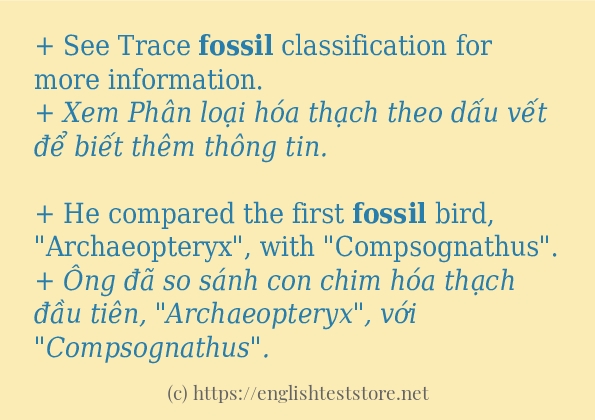 fossil câu ví dụ và cách sử dụng