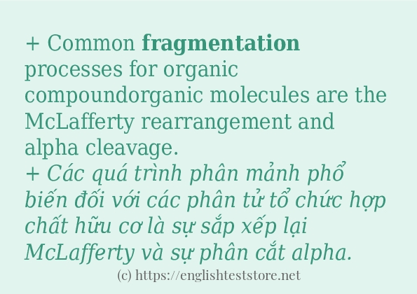 fragmentation ví dụ cách dùng trong câu