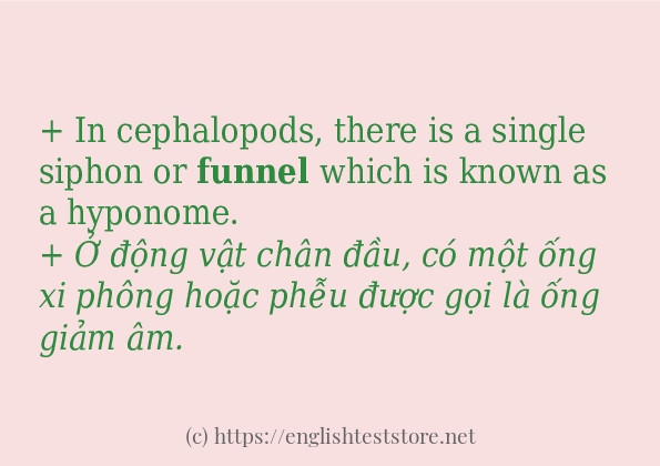 funnel sử dụng như thế nào?