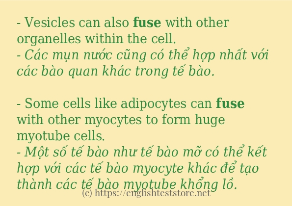 fuse cách sử dụng và câu ví dụ fuse cách sử dụng và câu ví dụ