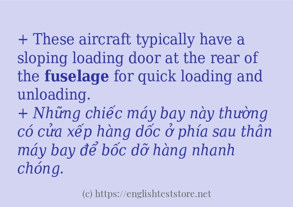 fuselage cách dùng và ví dụ trong câu