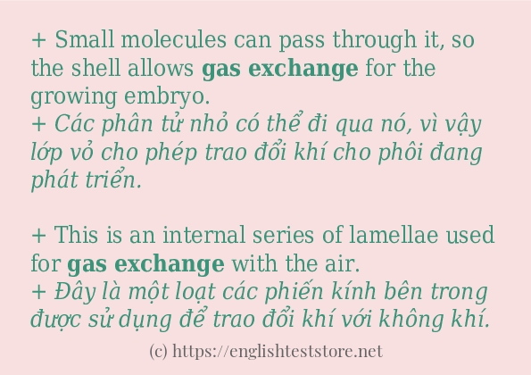 gas exchange câu ví dụ về cách dùng