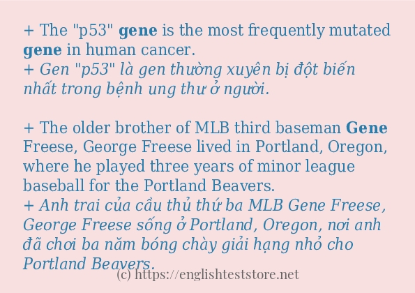 gene cách sử dụng trong câu và ví dụ