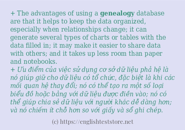 genealogy cách dùng trong câu và ví dụ