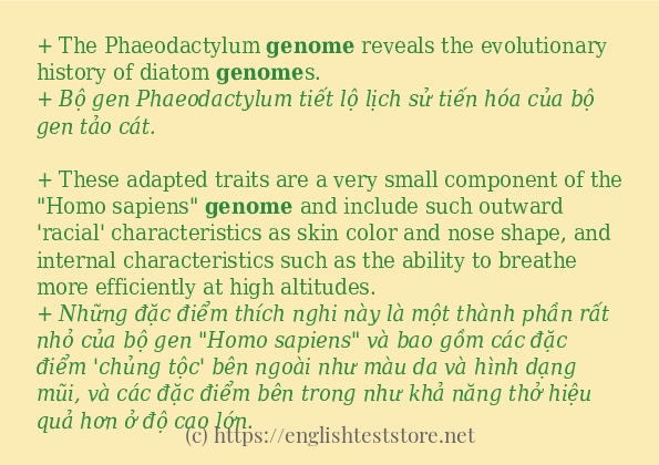 genome dùng như thế nào?