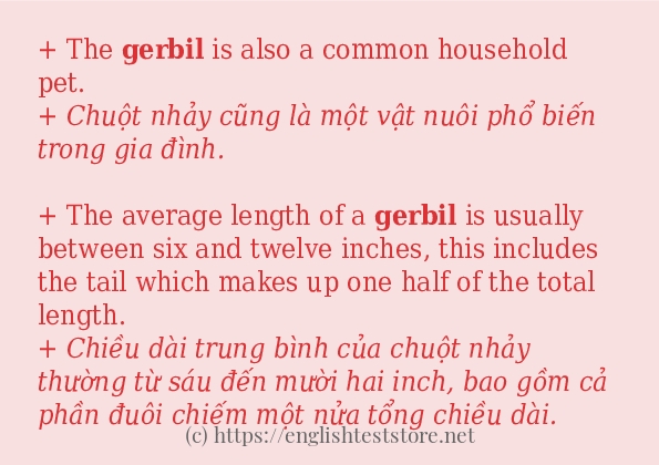 gerbil có bao nhiêu cách dùng?