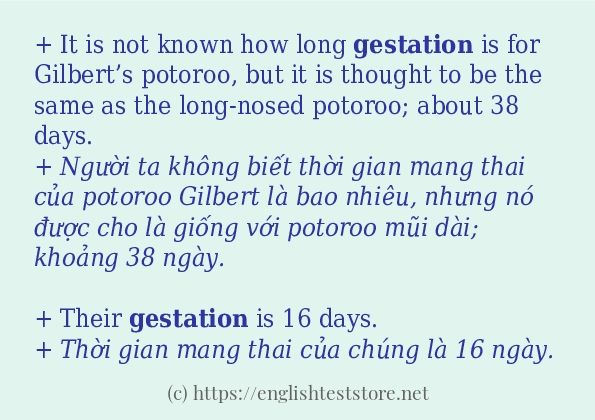 gestation cách dùng và ví dụ trong câu