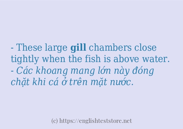 gill áp dụng trong câu và ví dụ gill áp dụng trong câu và ví dụ