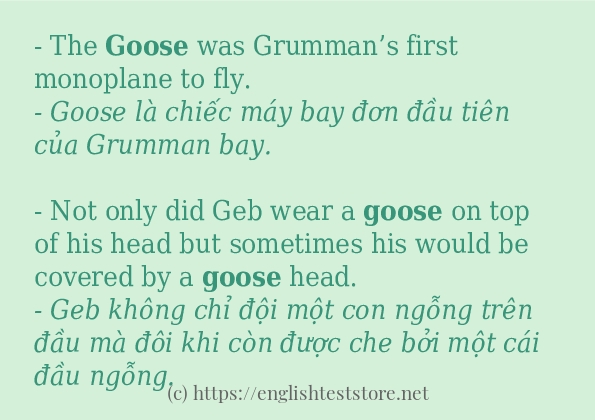goose có bao nhiêu cách sử dụng?