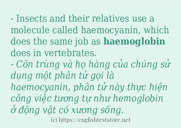 haemoglobin ví dụ cách dùng trong câu