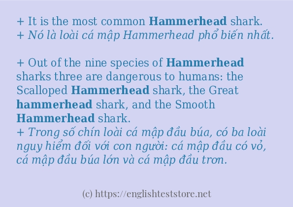 hammerhead các ví dụ và câu điển hình
