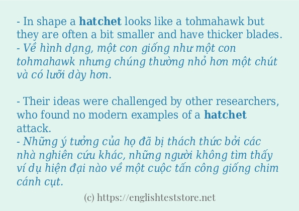hatchet cách dùng trong câu và ví dụ