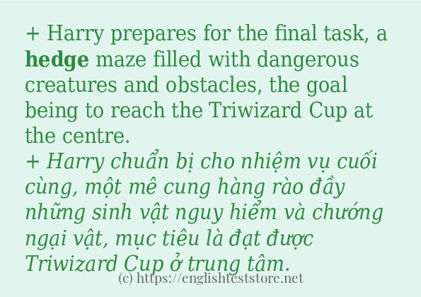hedge có bao nhiêu cách dùng? hedge có bao nhiêu cách dùng?