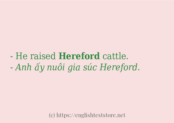 hereford dùng như thế nào?