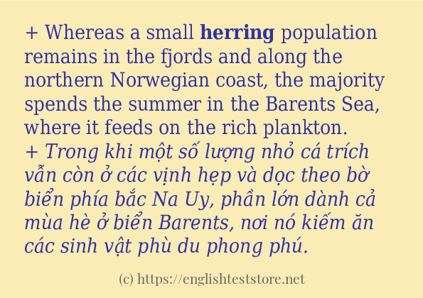 herring ví dụ cách dùng trong câu