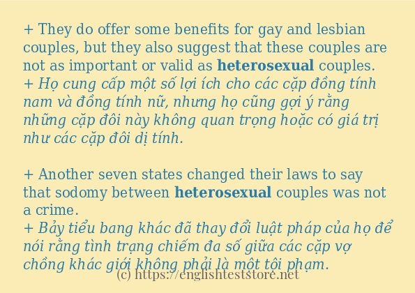 heterosexual cách sử dụng trong câu và ví dụ