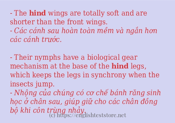 hind cách dùng và ví dụ trong câu