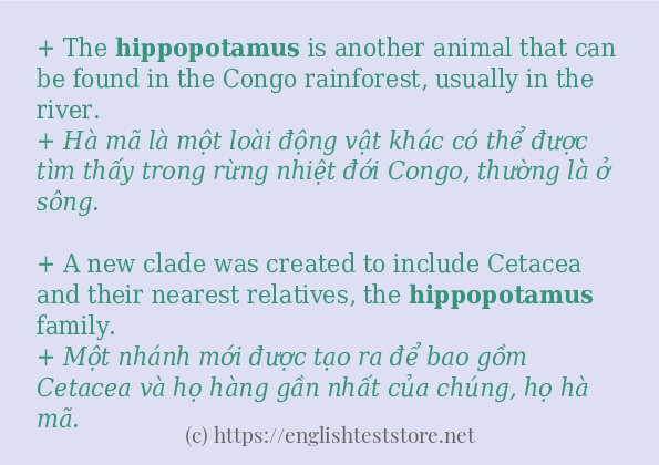 hippopotamus sử dụng như thế nào?