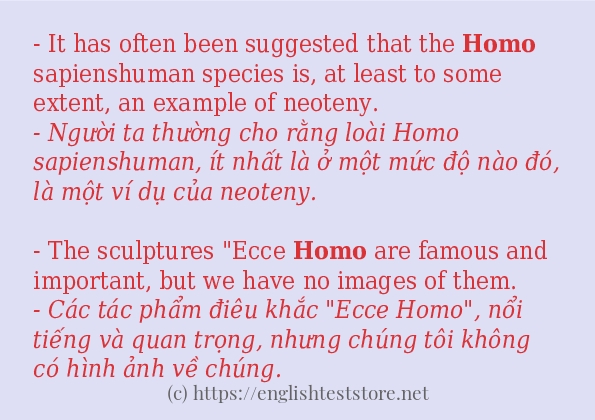 homo các cách dùng và câu ví dụ
