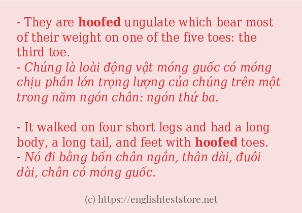 hoofed cách sử dụng và câu ví dụ
