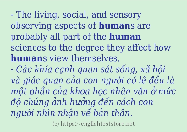 human áp dụng trong câu và ví dụ