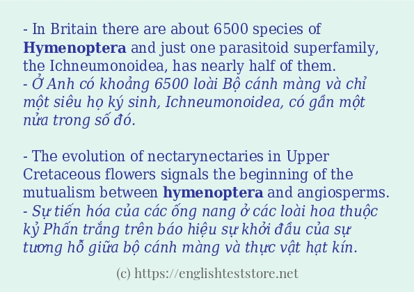 hymenoptera cách dùng và ví dụ trong câu