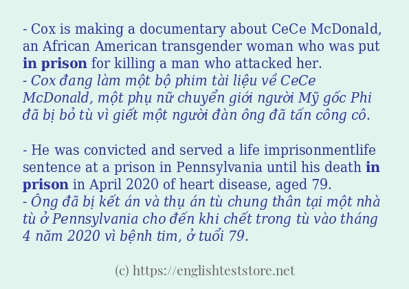 in prison câu ví dụ và cách dùng