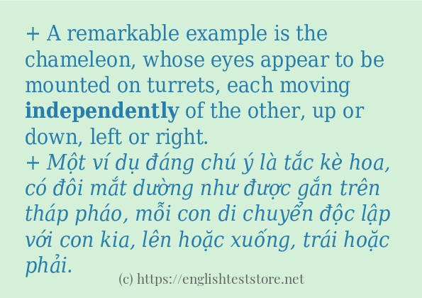 independently áp dụng trong câu và ví dụ independently áp dụng trong câu và ví dụ