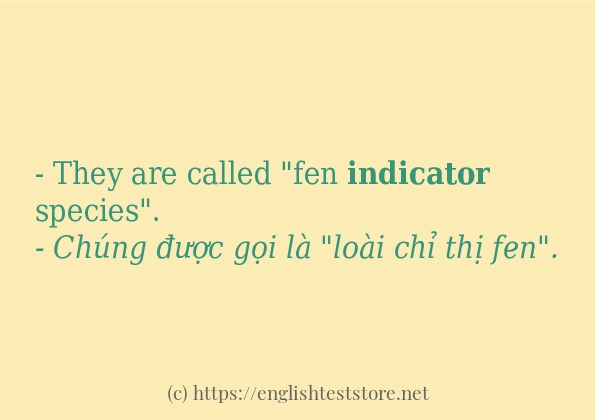 indicator sử dụng thực tế trong câu indicator sử dụng thực tế trong câu