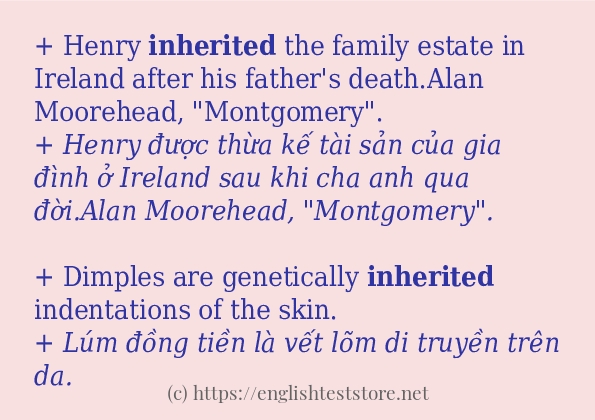 inherited ví dụ cách dùng trong câu
