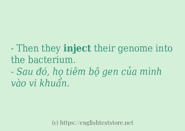 inject các ví dụ và câu điển hình