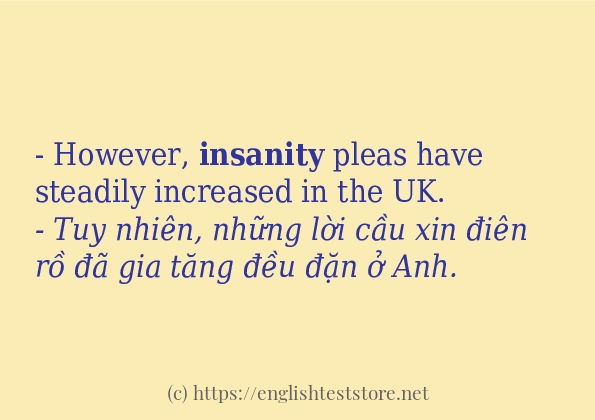 insanity cách dùng và ví dụ trong câu