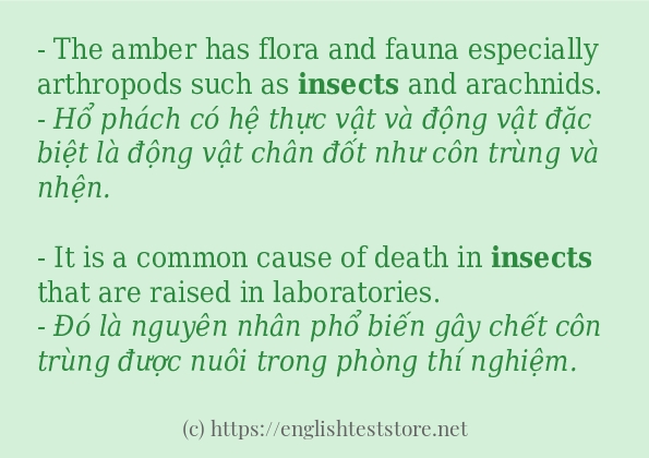 insects có bao nhiêu cách sử dụng? insects có bao nhiêu cách sử dụng?